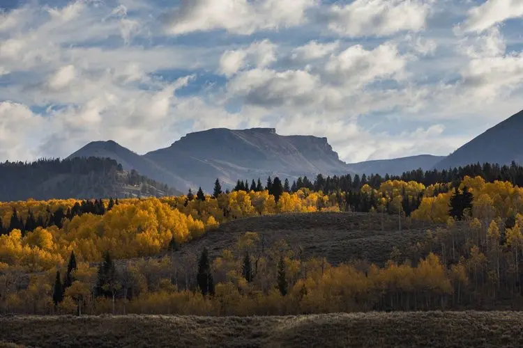 Mountain Range with Aspen Trees