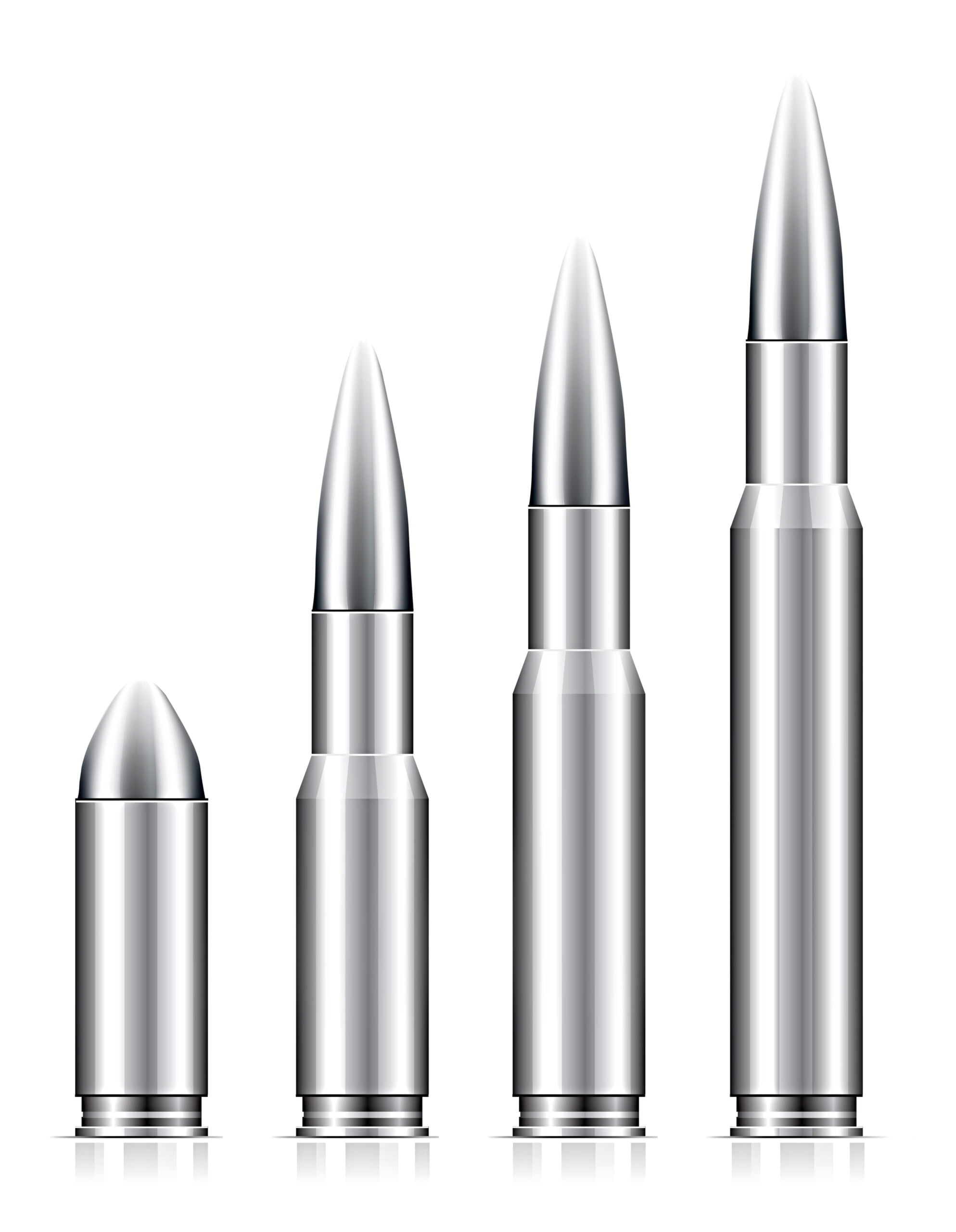 Black and White BUllet Profile