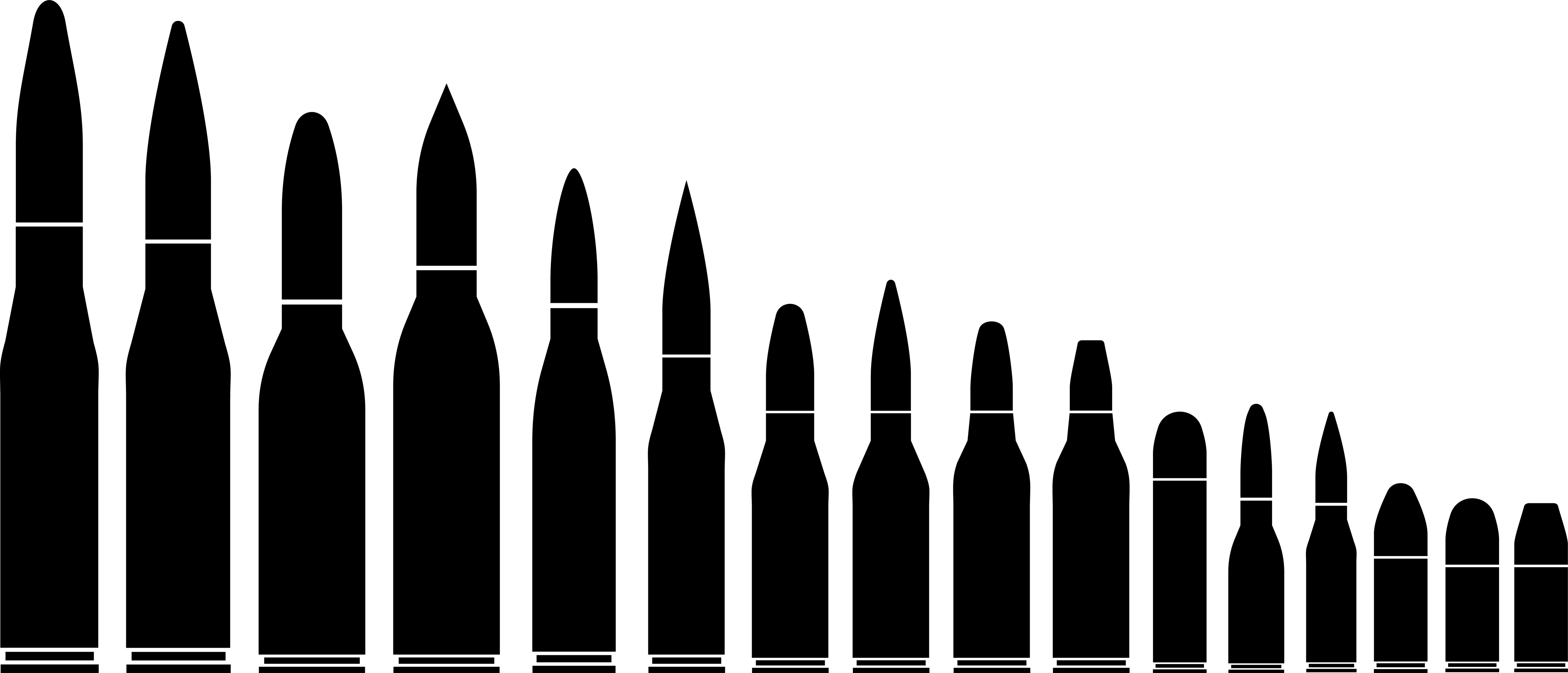 Sillhouettes of Various Bullet Calibers