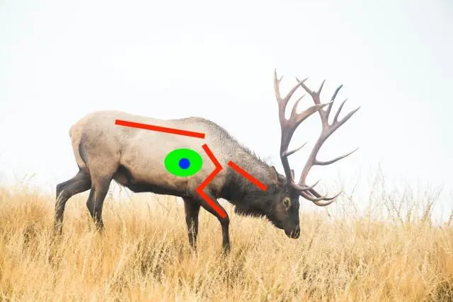 Elk Vital Zone
