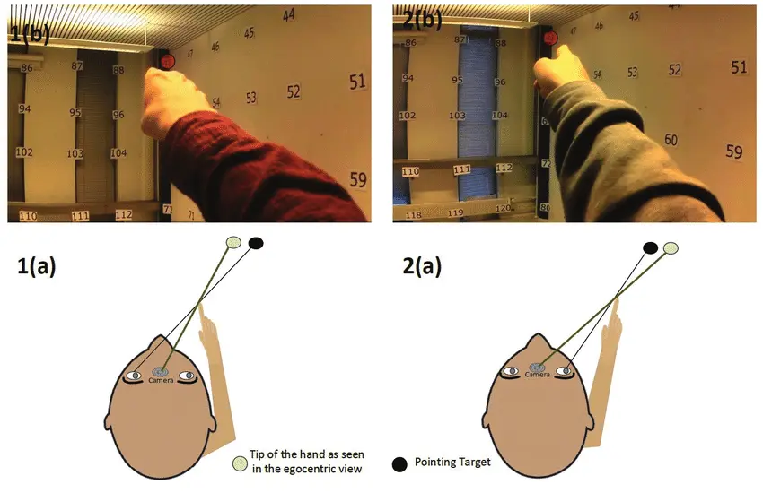 Eye Dominance differences compared to a point