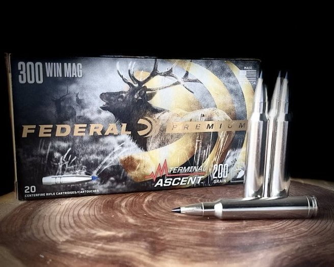 Federal Premium Terminal Ascent .300 Win Mag Ammo