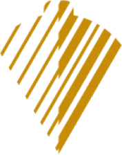 Nadir Solutions Ochre Logo
