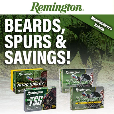 Bears Spurs and Savings