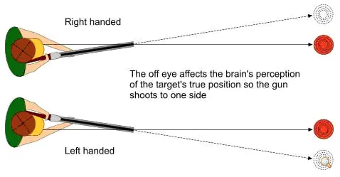 Eye Dominance Diagram for Shooting in Plan View